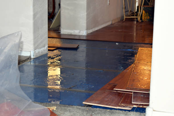 Professional Basement Flood Cleanup technician working in Robesonia, PA